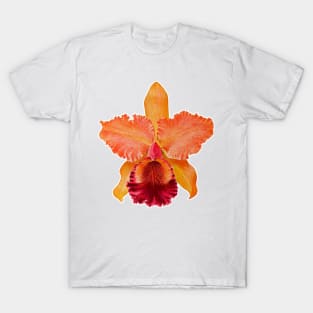 solitary orchid T-Shirt